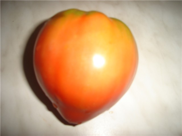 rajčice
